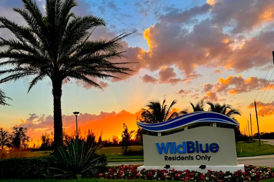 The WildBlue residents entrance sign beneath palm trees at sunset